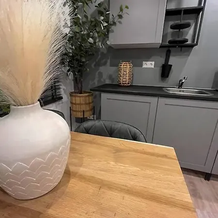 Gezellig Appartement, Gerenoveerd Eind 2022 * Τίλμπουργκ